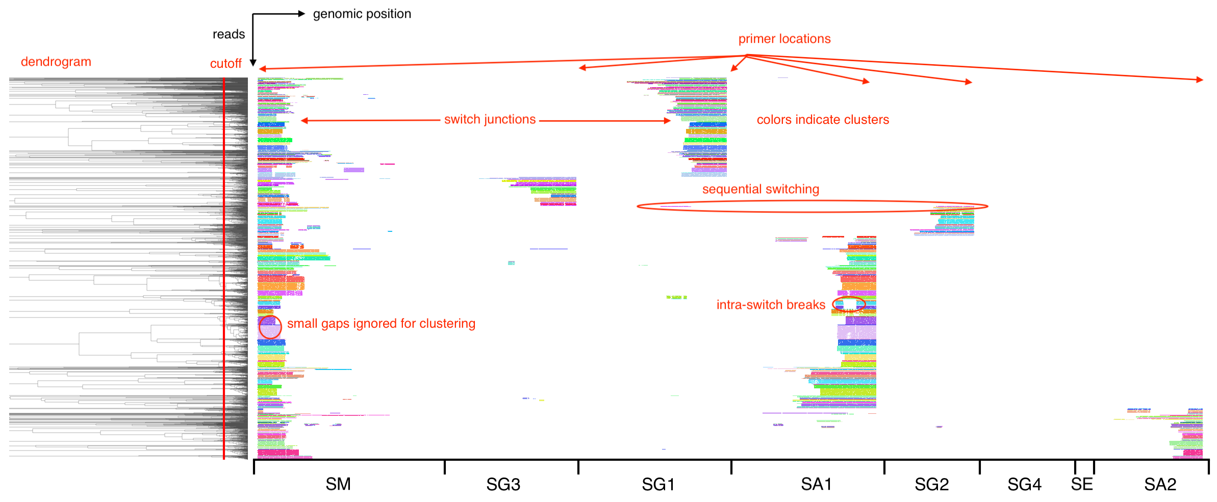 read plot by cluster identity
